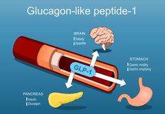 IGF-1 LR3,  HGH 191 AA, Selank  MT-1  & Melanotan-2 Acetate Biological Peptides