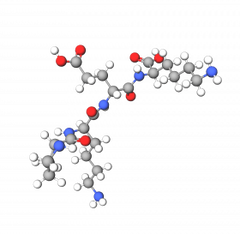 Tirzepatide