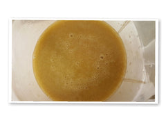 Liquid Kojic Soap With Salicylic Acid  3-16oz Wholesale